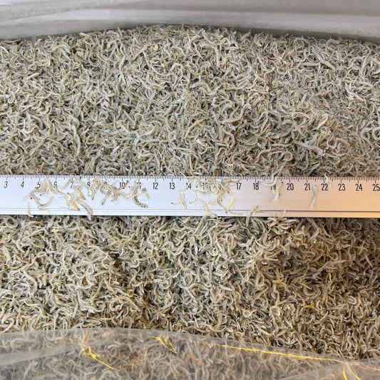 ちりめんじゃこ 5kg 小サイズ 韓国産愛知県加工 京都食彩市場