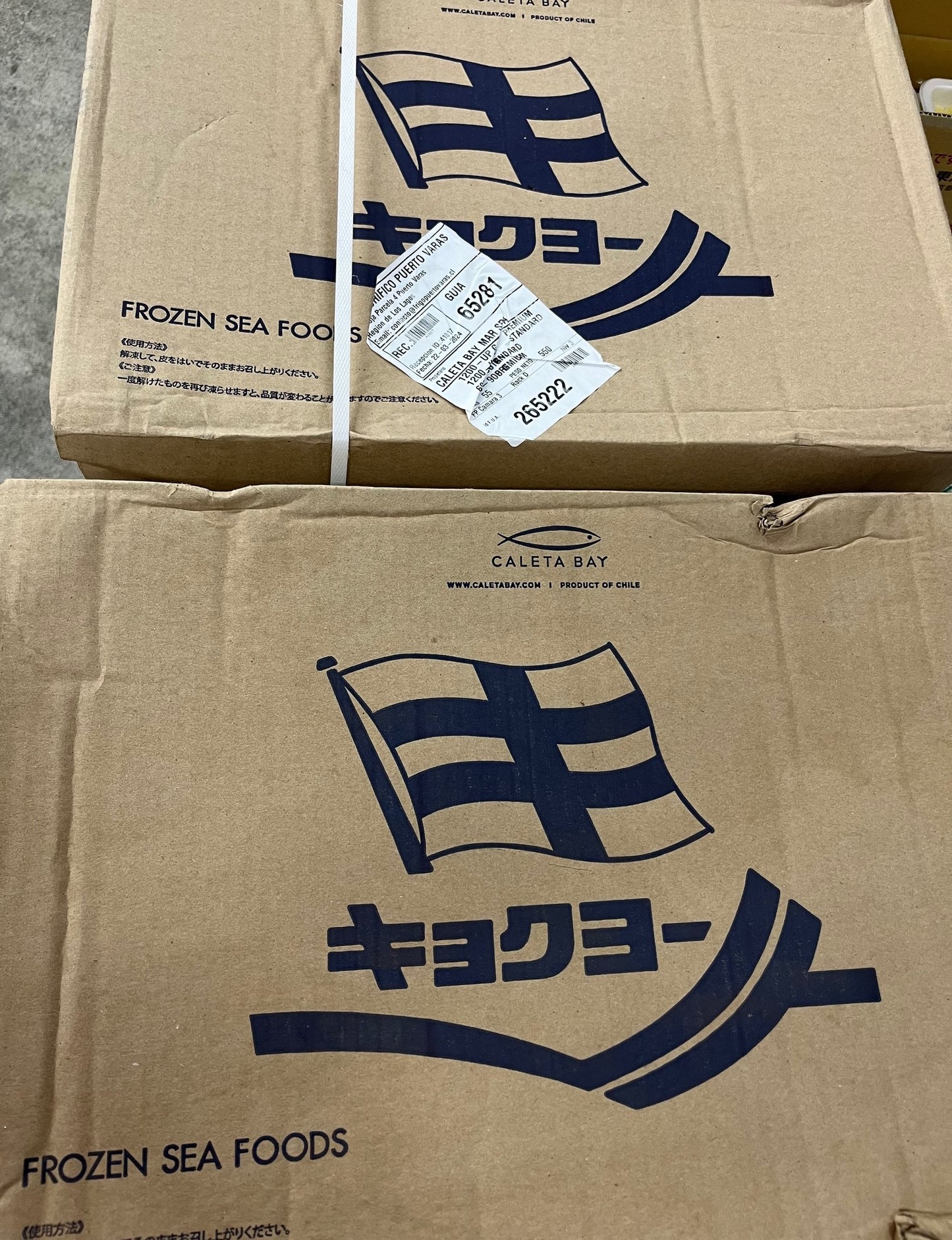 トラウトサーモン フィレー トリムE 10枚前後 皮取り骨とり 京都食彩市場