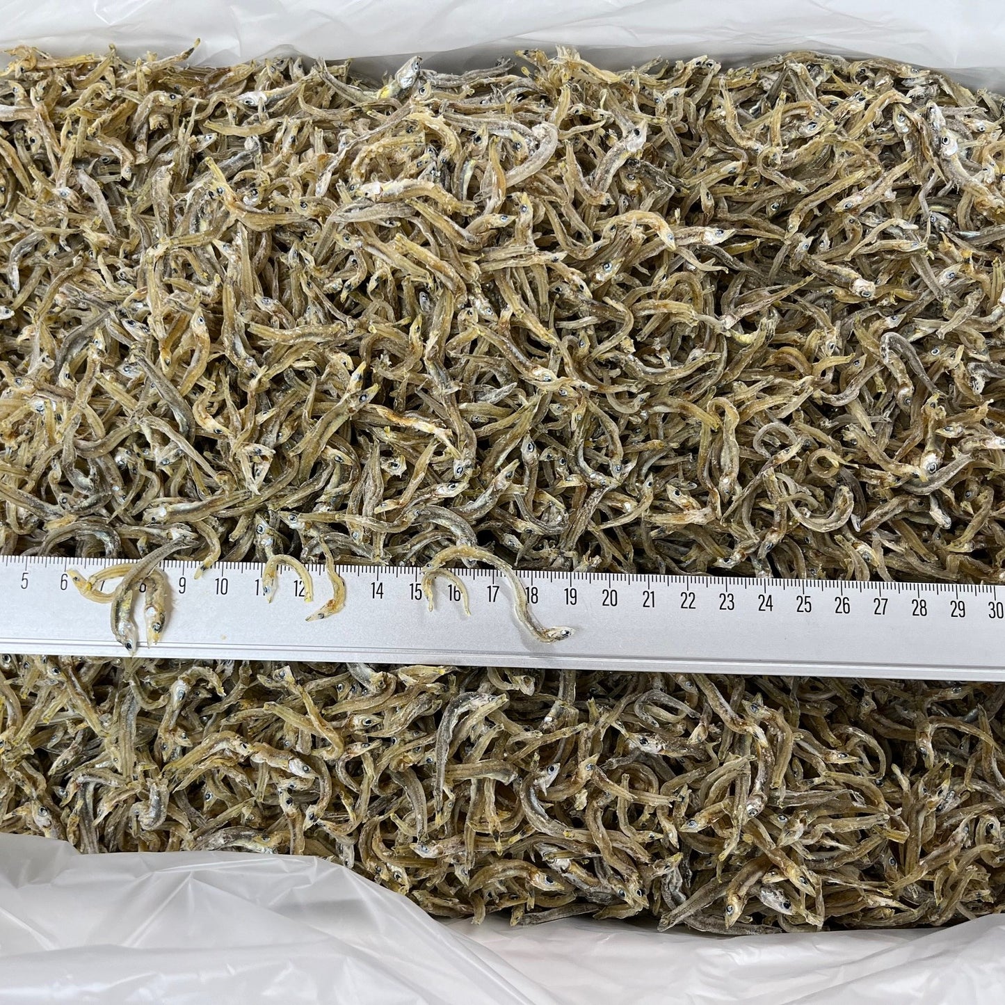 ちりめんじゃこ 4.5kg 中大サイズ 愛媛県産 茶色