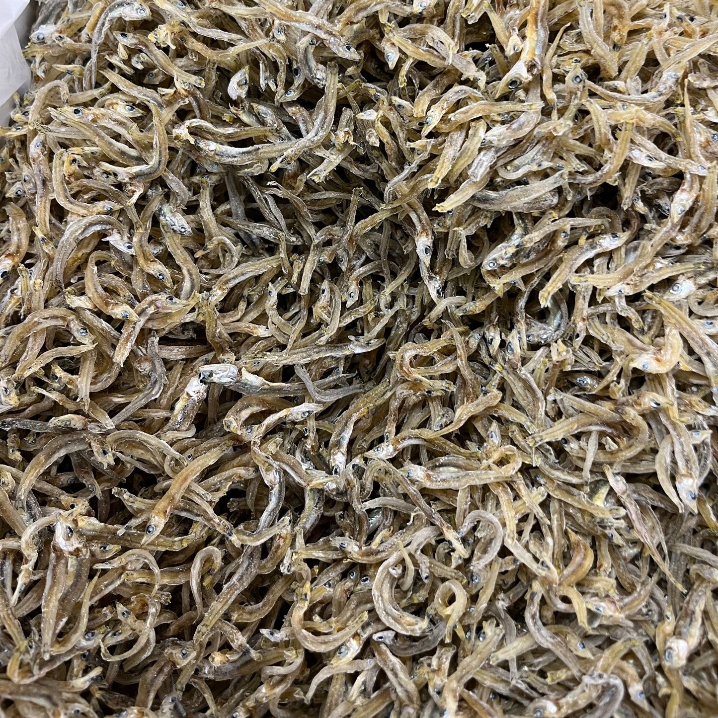ちりめんじゃこ 4.5kg 中大サイズ 愛媛県産 茶色