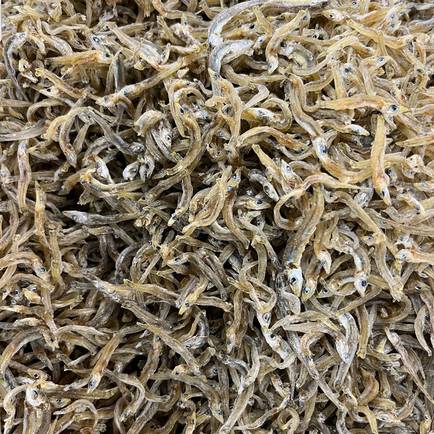 ちりめんじゃこ 4.5kg 中大サイズ 愛媛県産 茶色