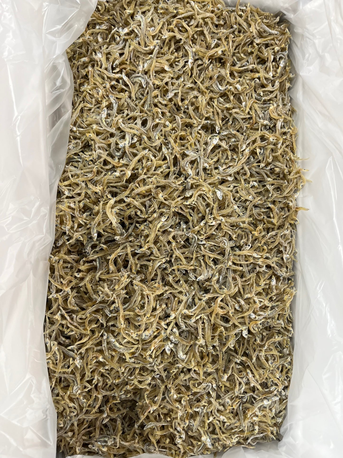ちりめんじゃこ 4.5kg 中大サイズ 愛媛県産 茶色