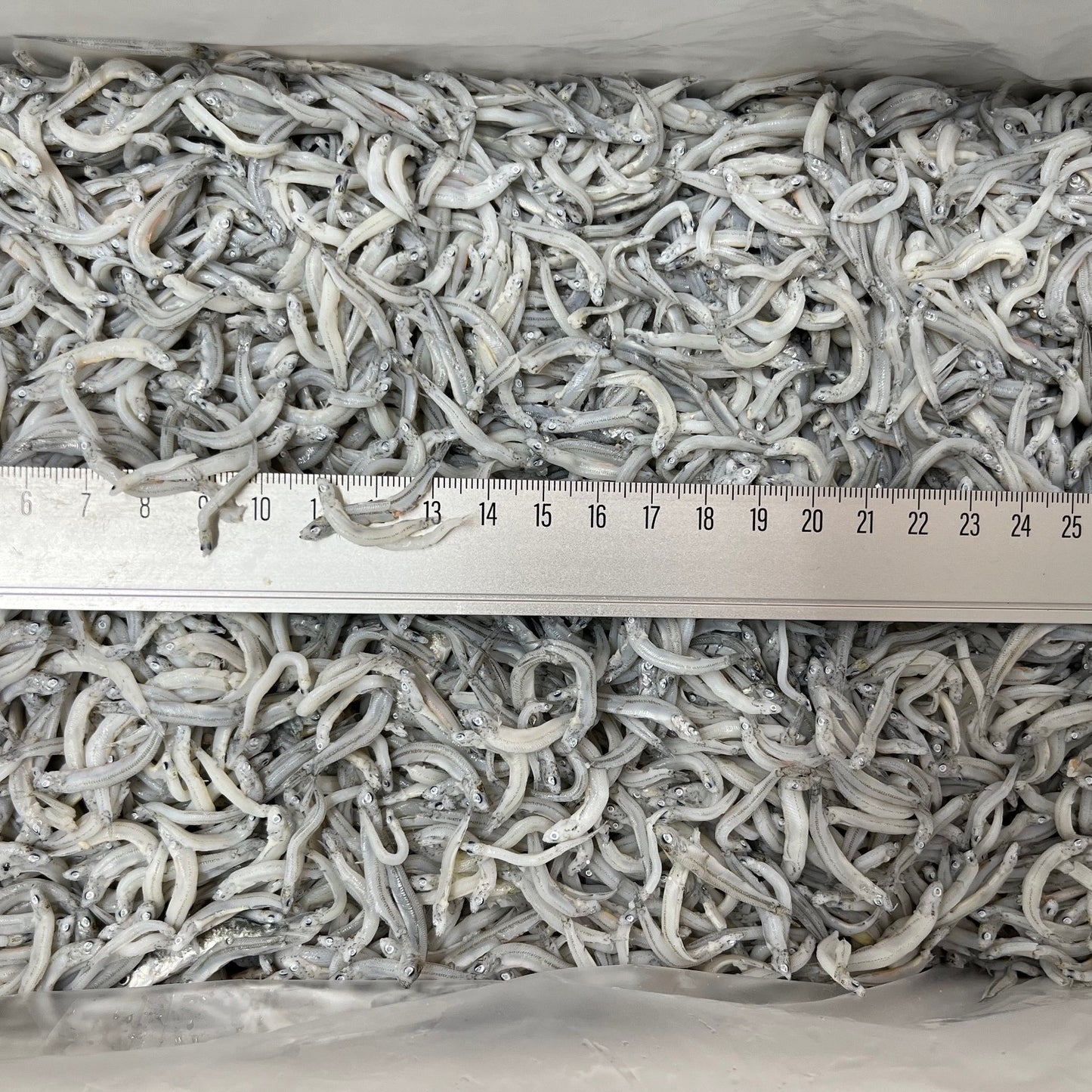 かまあげしらす 中大サイズ 2kg 静岡県産など国産 グレー色