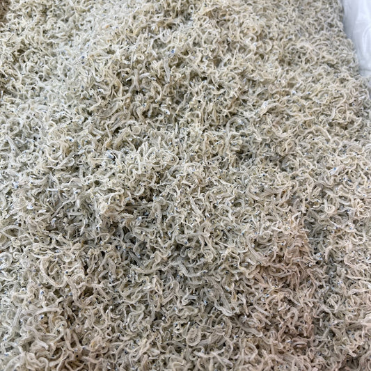 ちりめんじゃこ 小サイズ 5kg 大分県産 上乾 京都食彩市場