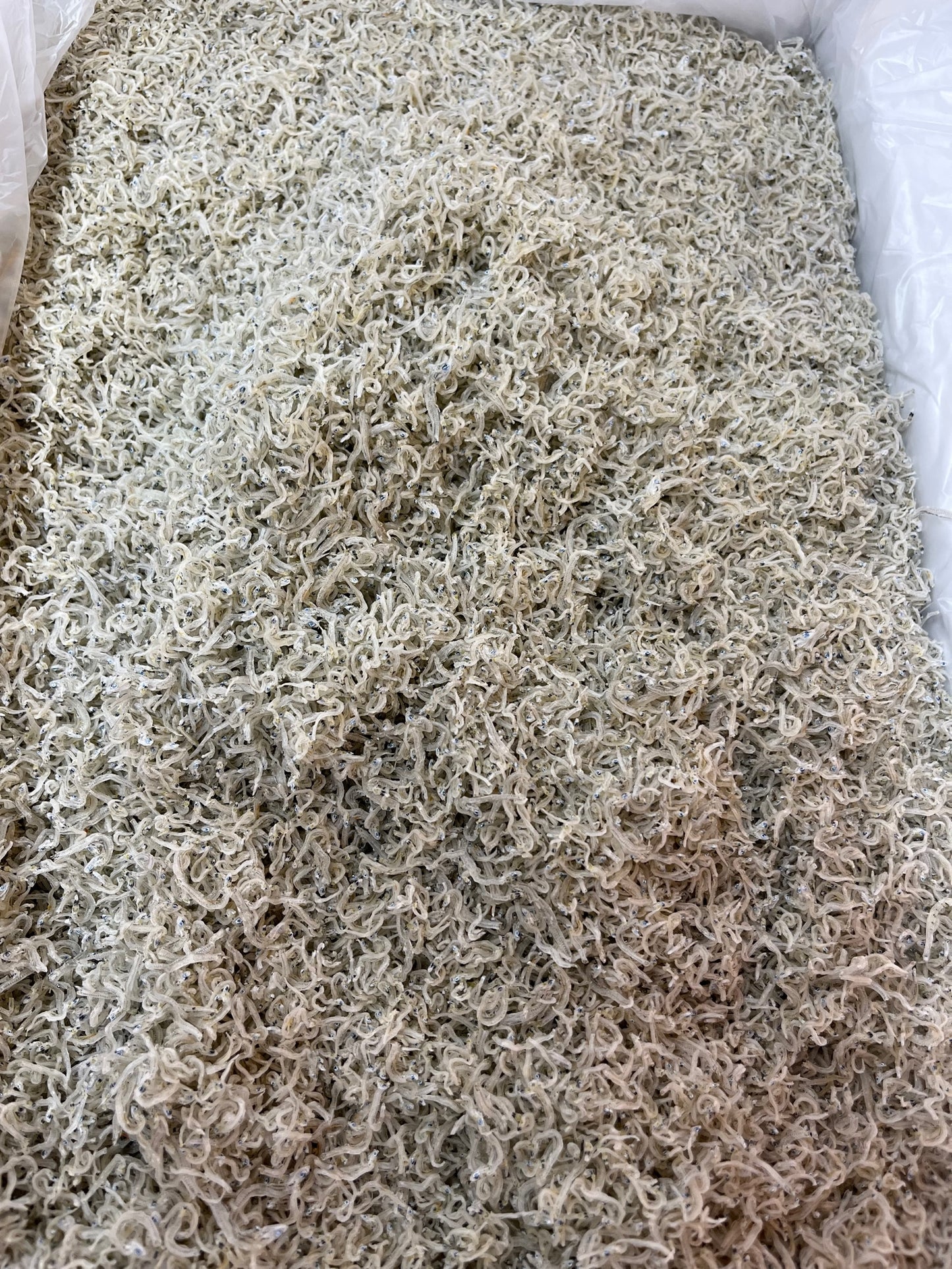 ちりめんじゃこ 小サイズ 5kg 大分県産 上乾 京都食彩市場
