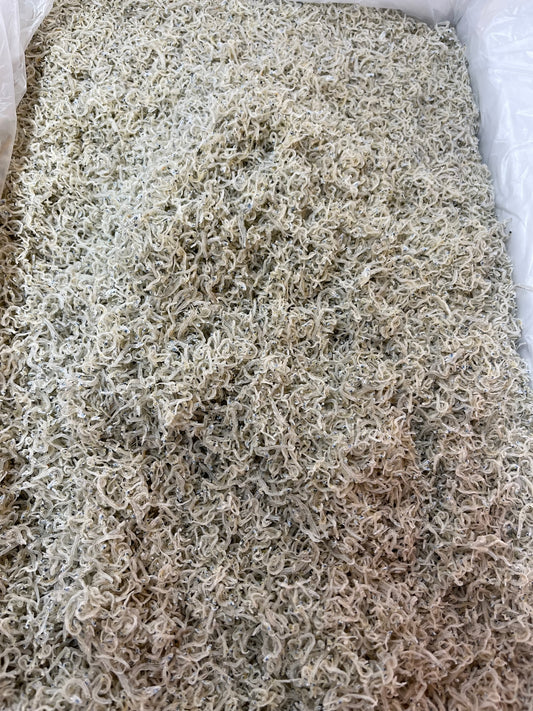 ちりめんじゃこ 小サイズ 5kg 大分県産 上乾 京都食彩市場