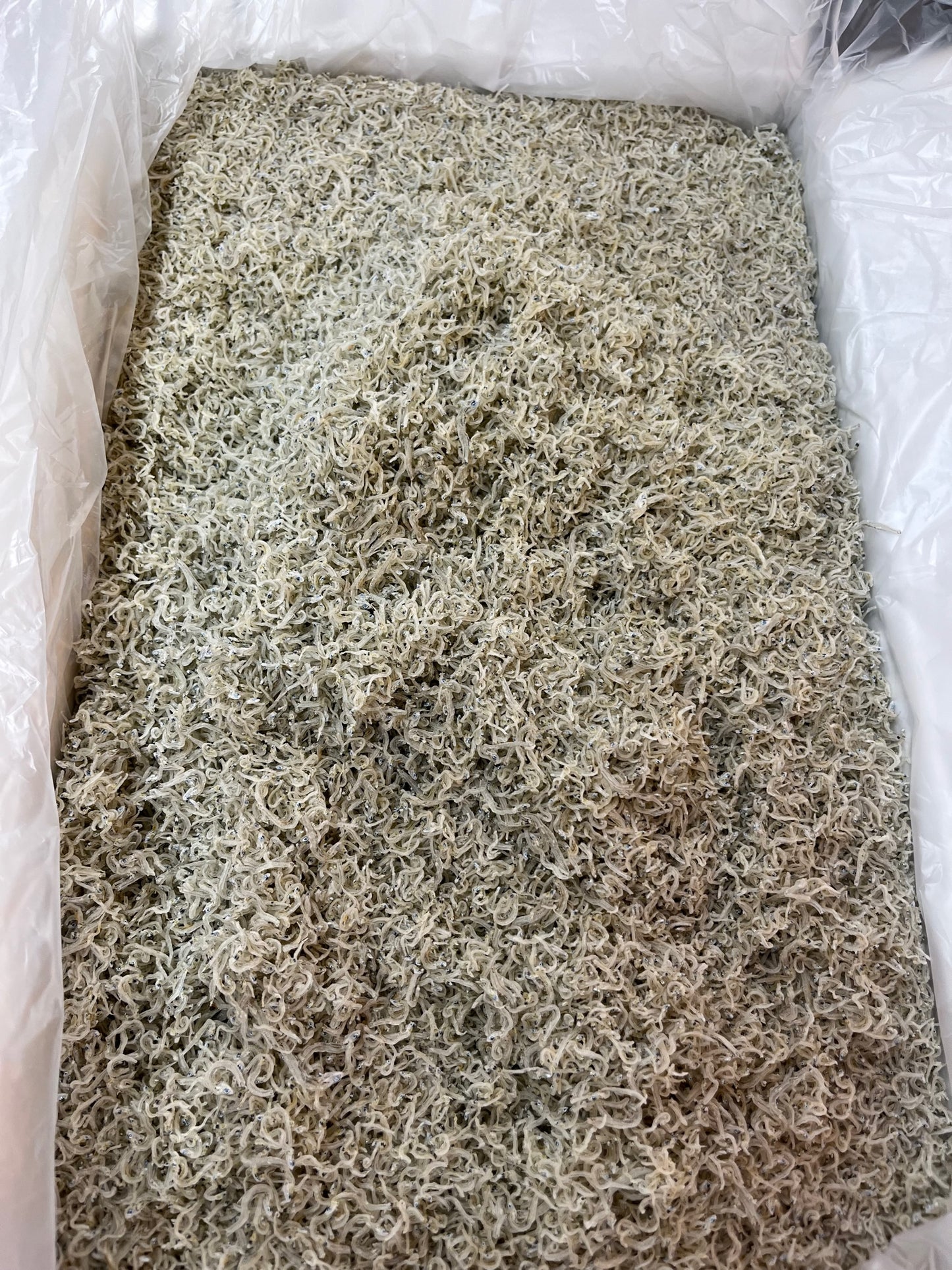 ちりめんじゃこ 小サイズ 5kg 大分県産 上乾 京都食彩市場