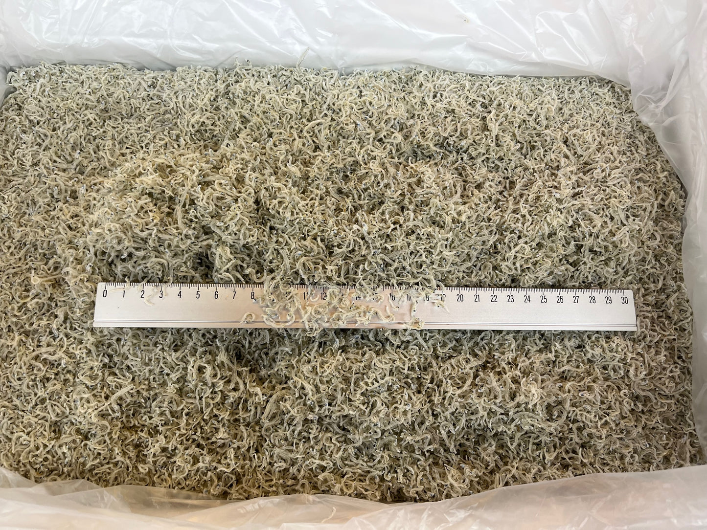 ちりめんじゃこ 小サイズ 5kg 大分県産 上乾 京都食彩市場