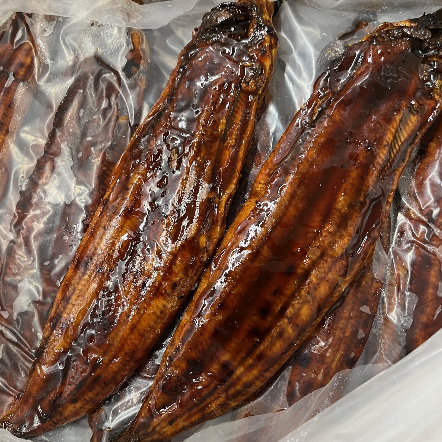 うなぎ 45尾入り 10kg 蒲焼き 有頭 腹開き 2025年10月賞味期限 京都食彩市場
