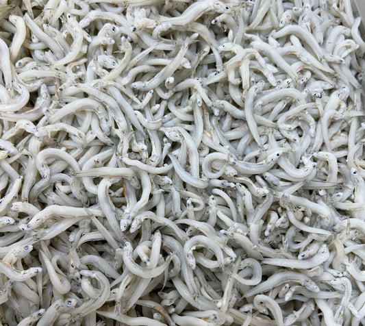 かまあげしらす 中サイズ 1kg 国産