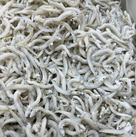 かまあげしらす 小サイズ 1kg 和歌山県加工