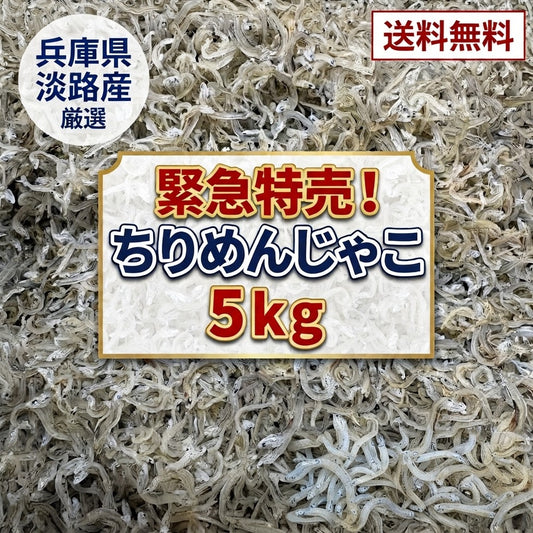 緊急特売!!! ちりめんじゃこ 5kg 中サイズ 兵庫県産、愛知県産その他国産 京都食彩市場