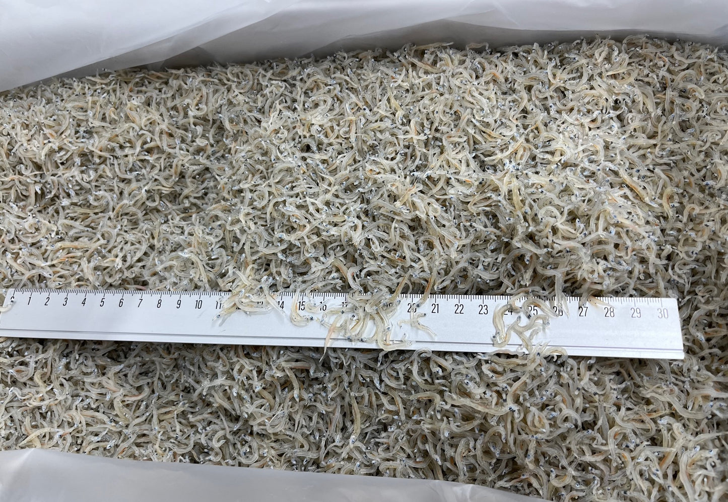 ちりめんじゃこ 中サイズ 5kg 宮崎県産 京都食彩市場