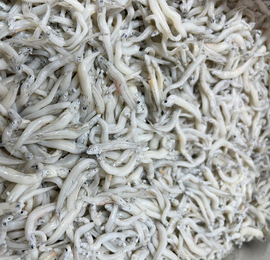 新物 国産 かまあげしらす 中サイズ 2kg 京都食彩市場