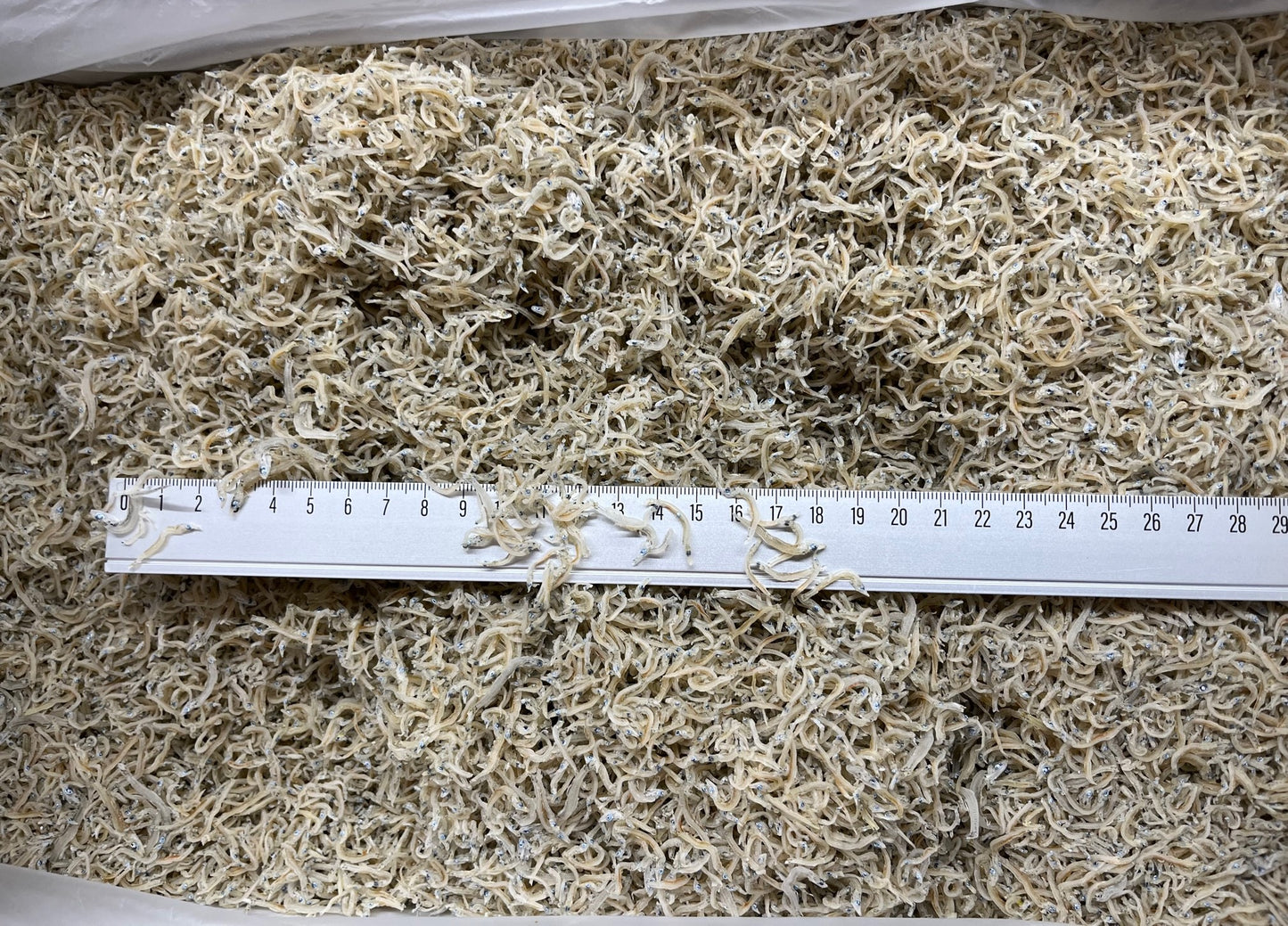 ちりめんじゃこ 中サイズ 5kg 鹿児島県産