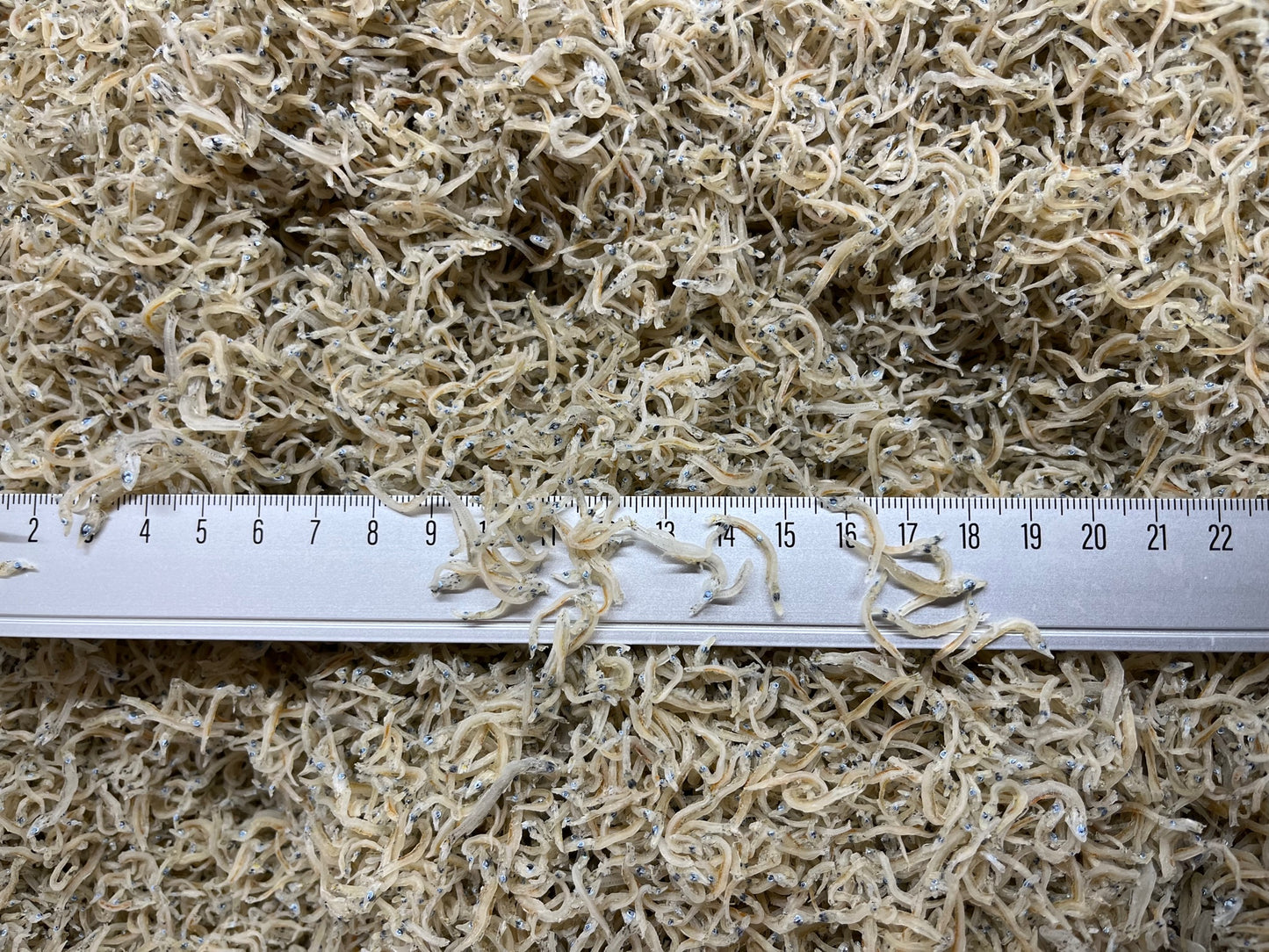 ちりめんじゃこ 中サイズ 5kg 鹿児島県産