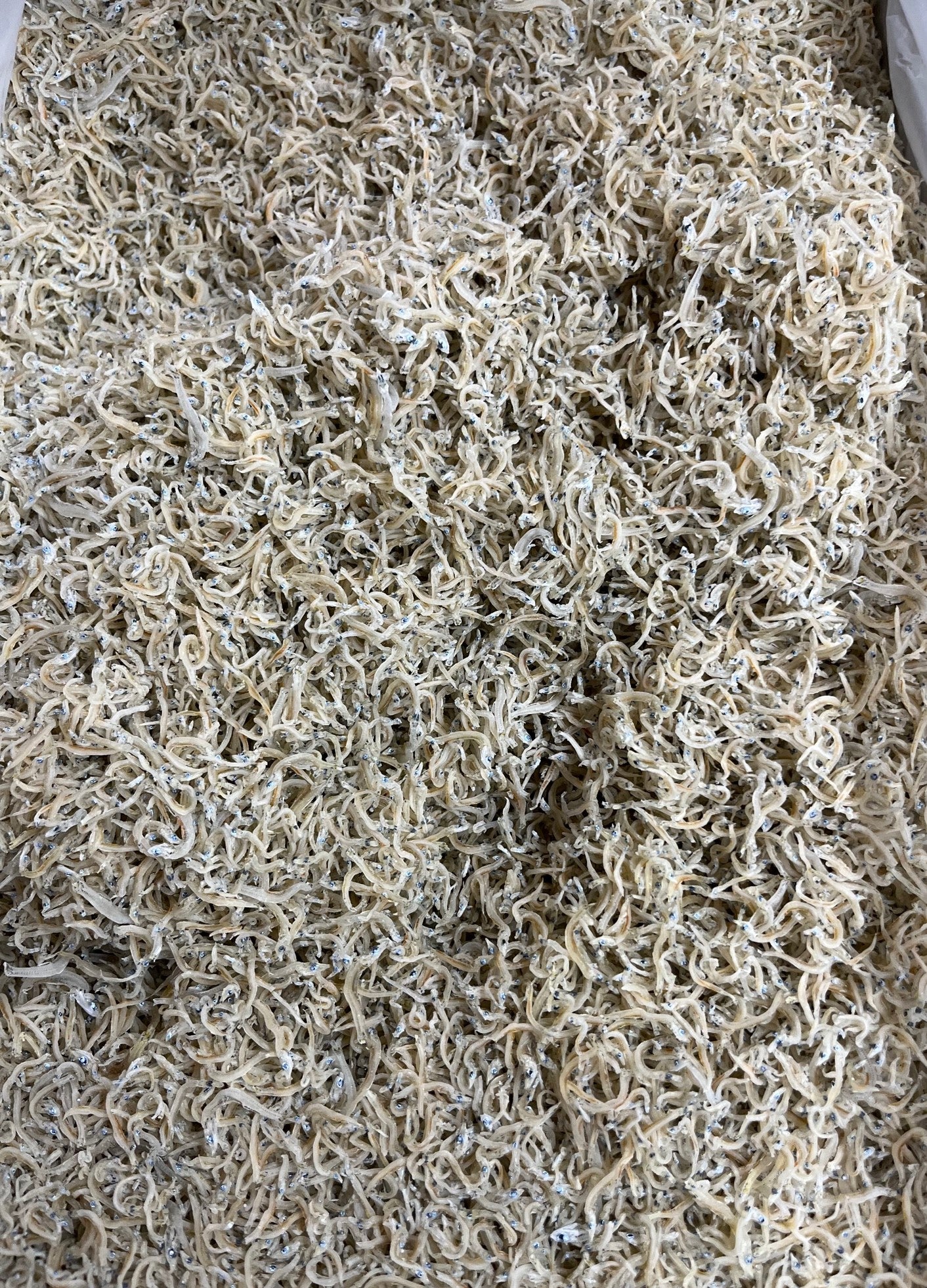 ちりめんじゃこ 中サイズ 5kg 鹿児島県産