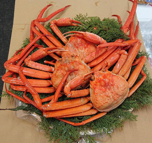 紅ズワイカニ 2匹 チルド 兵庫県香産 いがや