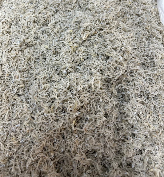 ちりめんじゃこ 小サイズ 5kg 大分県産