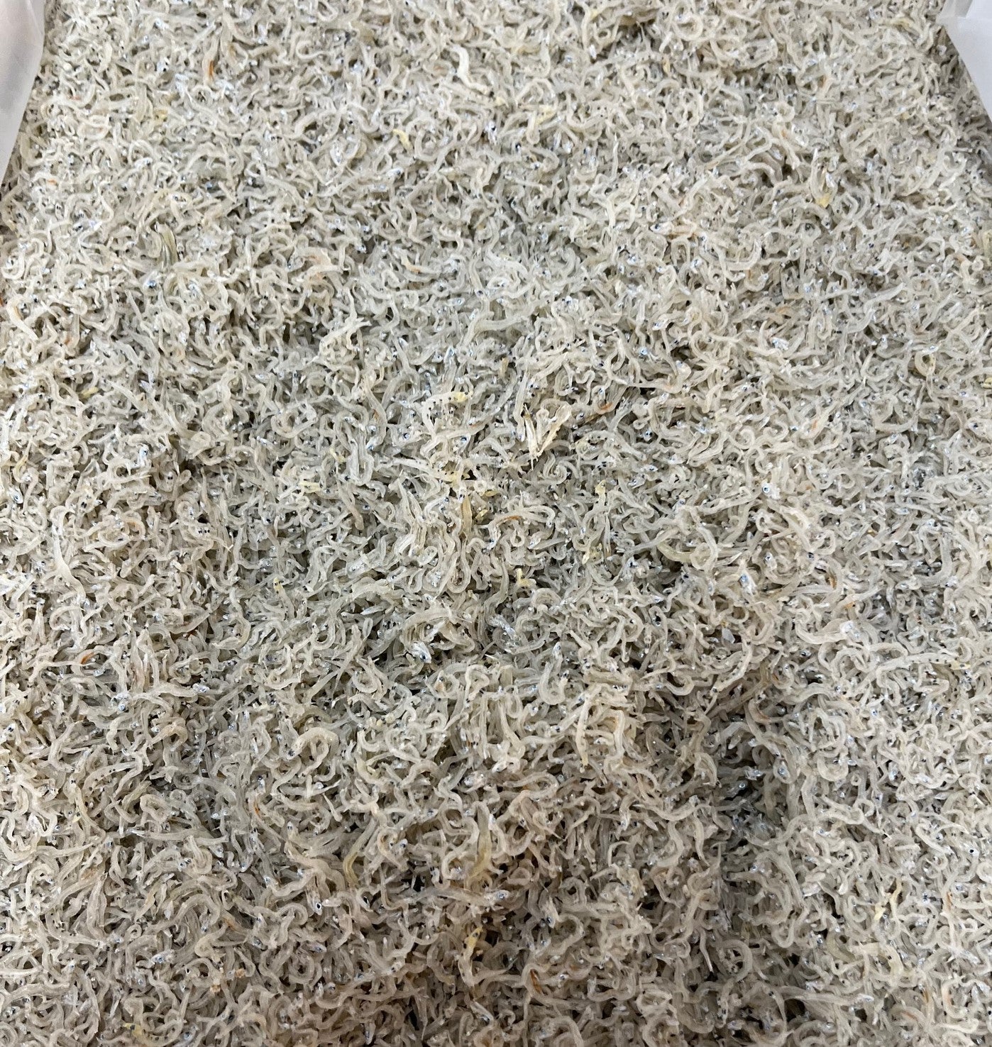 ちりめんじゃこ 小サイズ 5kg 大分県産