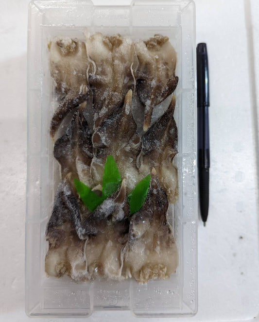 冷凍 ボイル とり貝 6寸9入り x5 韓国産 いがや