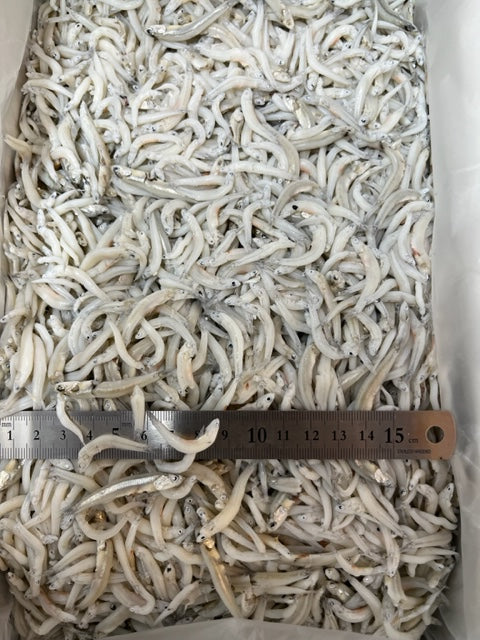 かまあげしらす 中サイズ 12kg 国産、国内加工