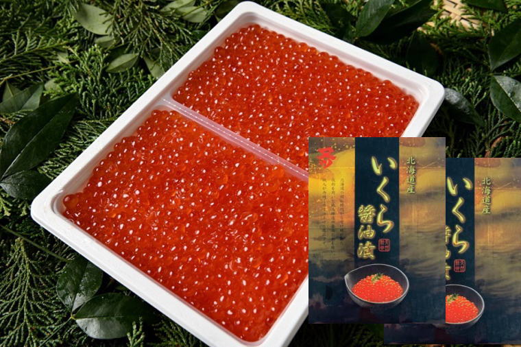 厳選!!マタツ水産 いくら醤油漬け500g×20 北海道産北海道加工 業務用