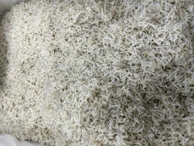 ちりめんじゃこ 小サイズ 5kg インドネシア産 静岡県加工