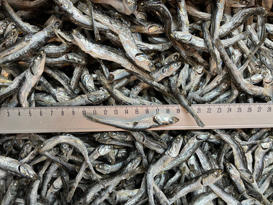 煮干し　出汁じゃこ　7.5kg　中大サイズ　京都府宮津産　