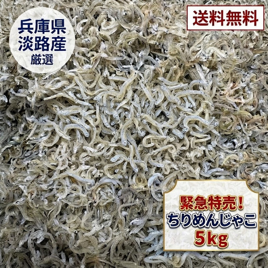 緊急特売!!!　ちりめんじゃこ　５ｋｇ　中サイズ　兵庫県産、愛知県産その他国産　京都食彩市場