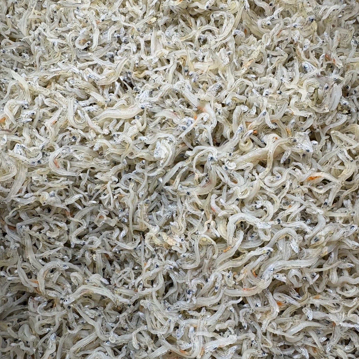 ちりめんじゃこ　中サイズ　5kg　愛知県産、兵庫県産その他　京都食彩市場