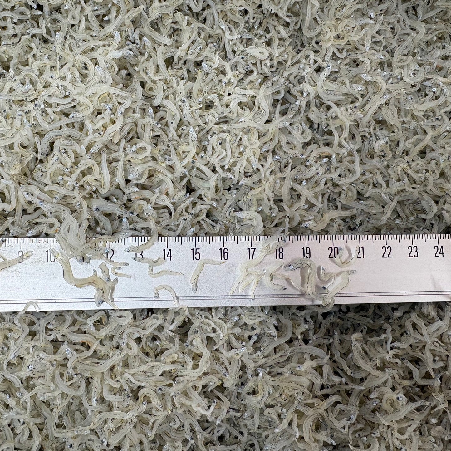 ちりめんじゃこ　５ｋｇ　小中サイズ　兵庫県淡路産　丸福　京都食彩市場