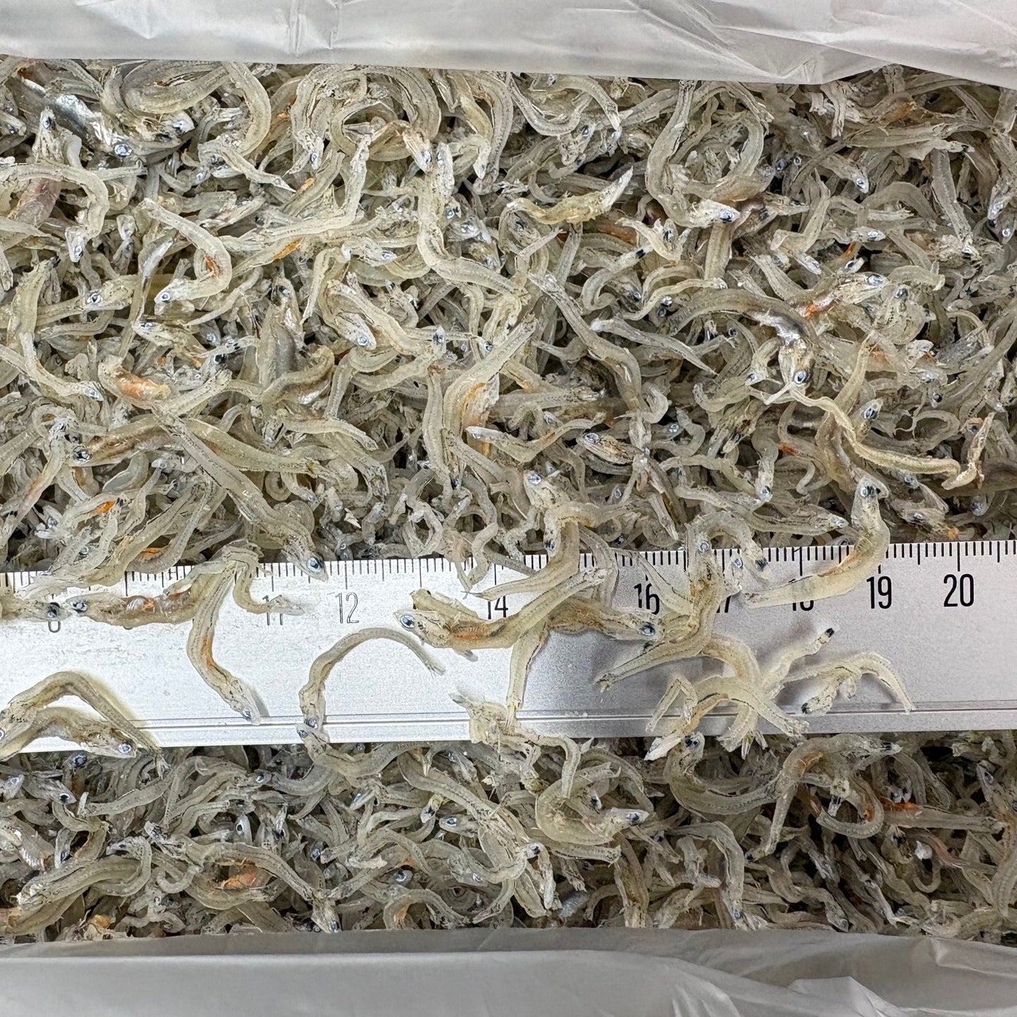 ちりめんじゃこ　中サイズ　5kg　愛知県産、兵庫県産その他　京都食彩市場