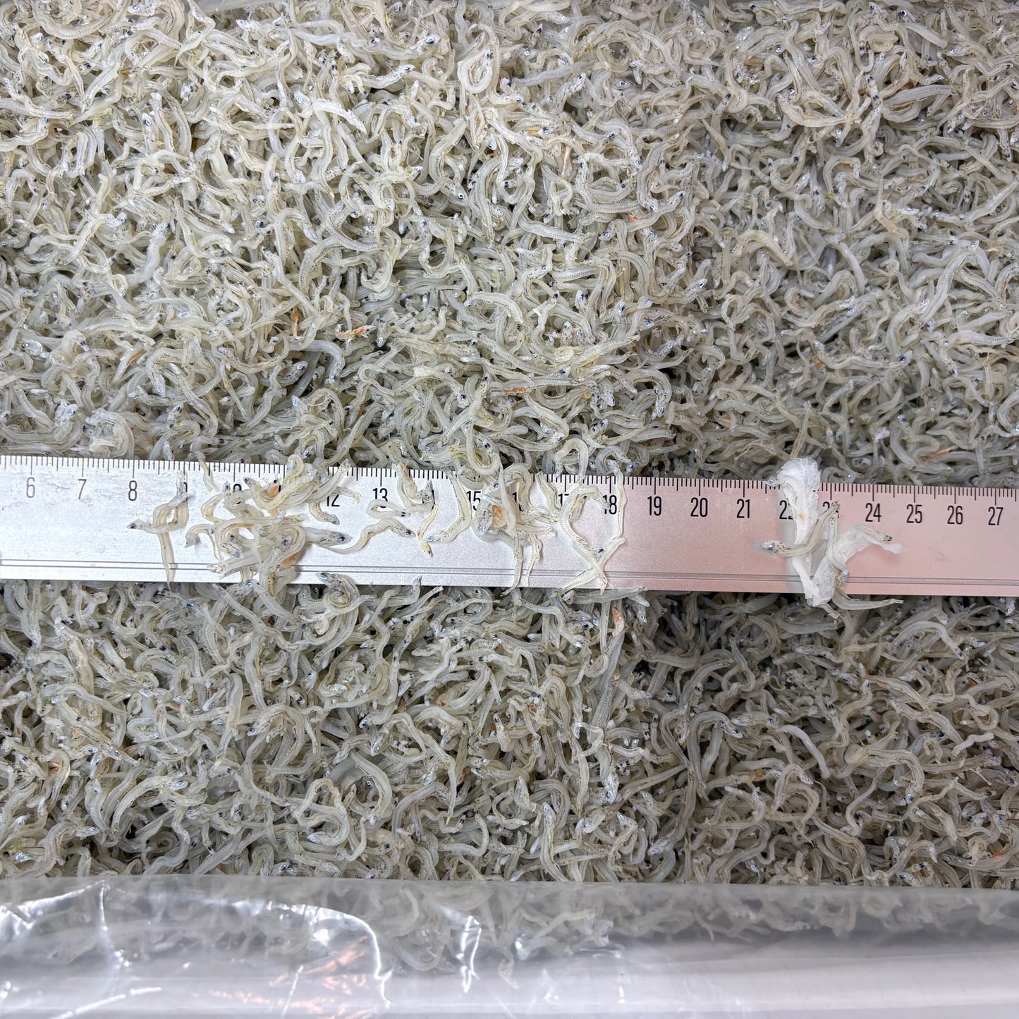 新物入荷　ちりめんじゃこ　５ｋｇ　中サイズ　　兵庫県産　など　京都食彩市場