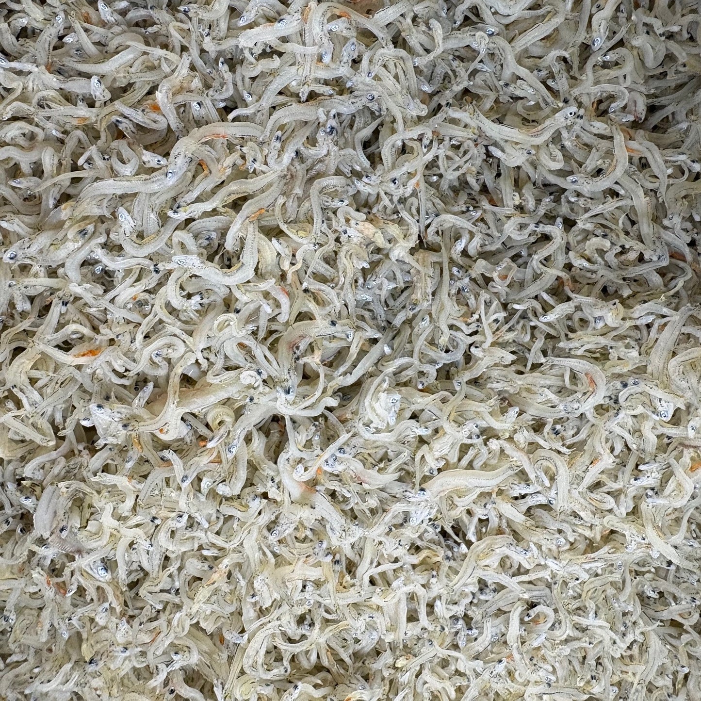ちりめんじゃこ　５ｋｇ　小中サイズ　愛知県産　丸幸　京都食彩市場