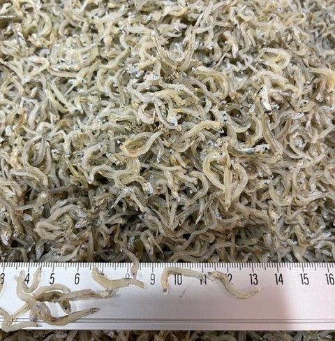 ちりめんじゃこ 　中小サイズ　5kg　徳島県産　